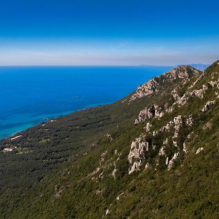 Artemis Prasoudi Beach Halikounas ภายนอก รูปภาพ